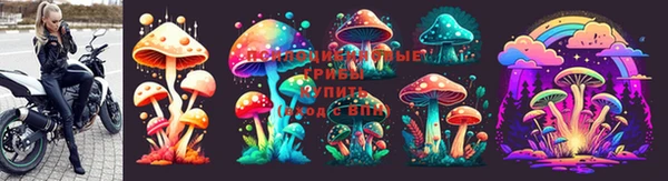 ГАЛЛЮЦИНОГЕННЫЕ ГРИБЫ Бугульма