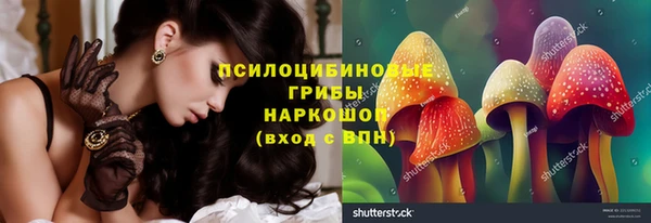 герыч Бронницы