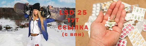 ГАЛЛЮЦИНОГЕННЫЕ ГРИБЫ Бугульма