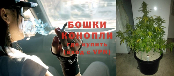 ГАЛЛЮЦИНОГЕННЫЕ ГРИБЫ Бугульма