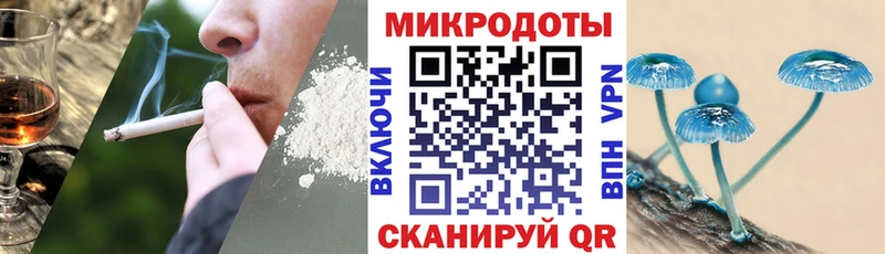 где продают   Ставрополь  Псилоцибиновые грибы прущие грибы 